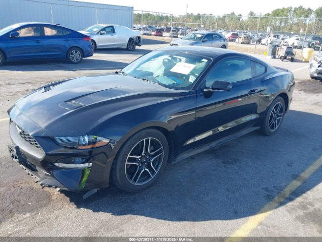 Ford Mustang Ecoboost Image 4