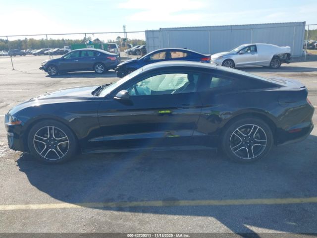 Ford Mustang Ecoboost Image 10