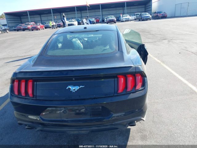 Ford Mustang Ecoboost Image 13