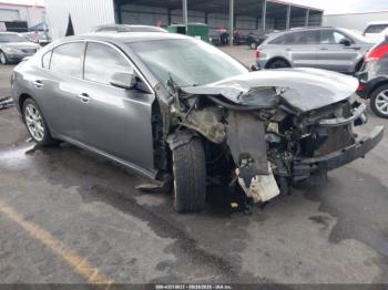  Salvage Nissan Maxima