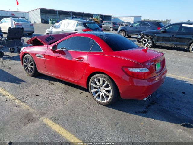 Mercedes-Benz Slk-class Image 5