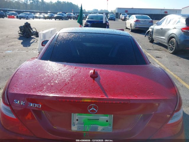 Mercedes-Benz Slk-class Image 7