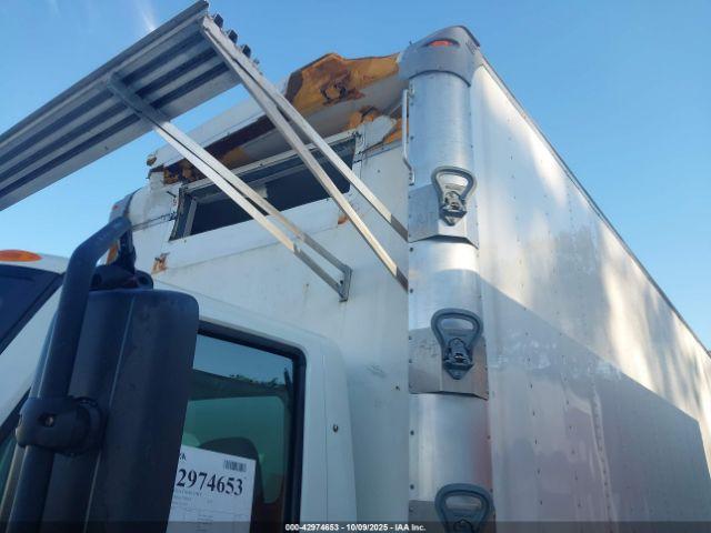 International Mv Image 15