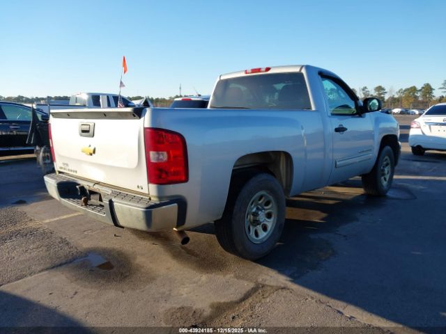 Chevrolet Silverado 1500 Work Truck Image 6