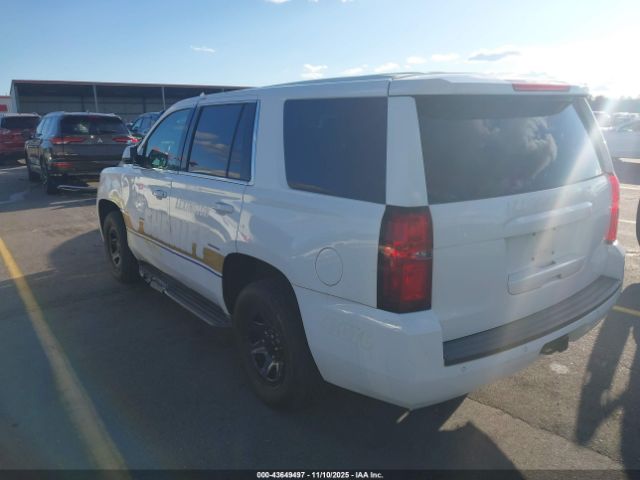 Chevrolet Tahoe Commercial Fleet Image 3