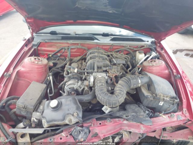 Ford Mustang V6 Image 2