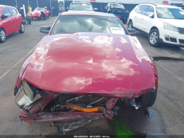 Ford Mustang V6 Image 9