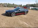 Ford Mustang Gt Premium Image 13