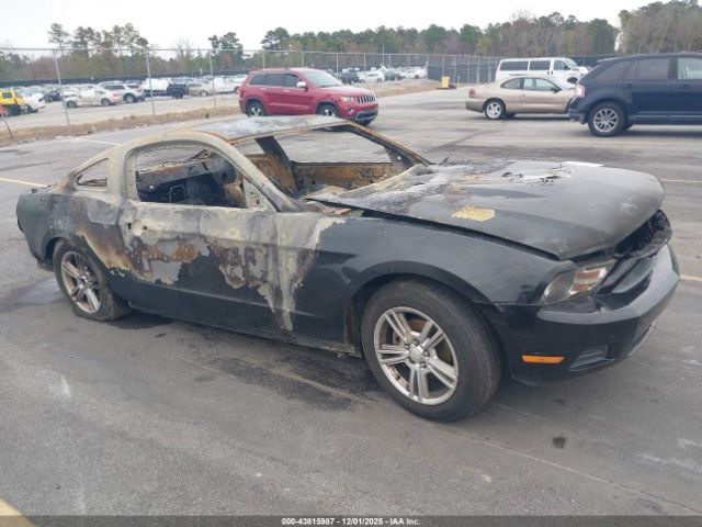 Ford Mustang Image 1