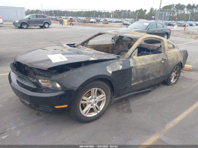 Ford Mustang Image 6