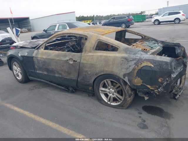 Ford Mustang Image 3