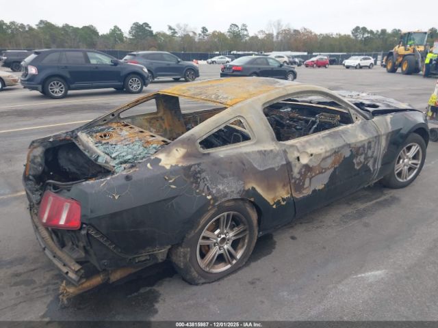 Ford Mustang Image 2